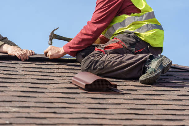 Best Roof Gutter Cleaning  in Palmyra, MO