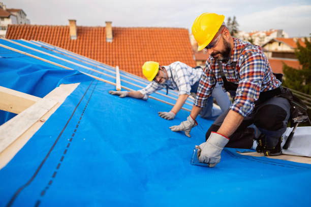 Trusted Palmyra, MO Roofing Contractor Experts