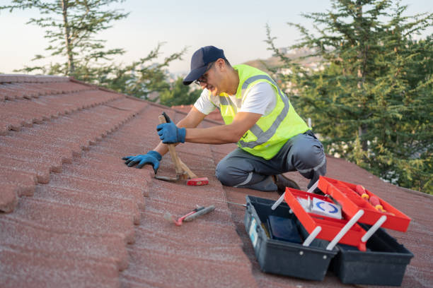 Quick and Trustworthy Emergency Roof Repair Services in Palmyra, MO